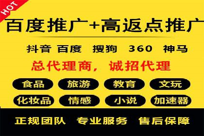 充值返点机制在社交平台的应用案例