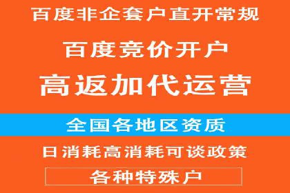 大数据分析在竞价广告中的应用